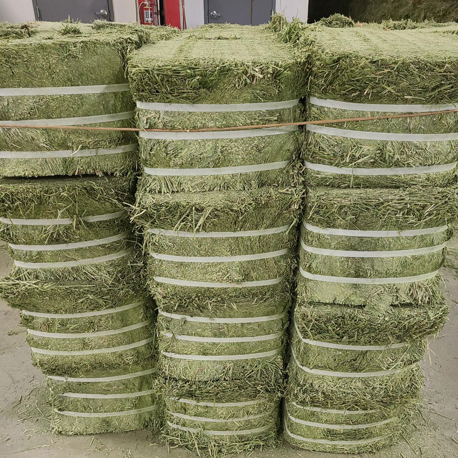 Compressed Hay Bales